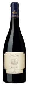 Pinot Nero IGT