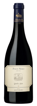 Pinot Nero IGT