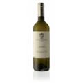 Sauvignon Blanc DOC